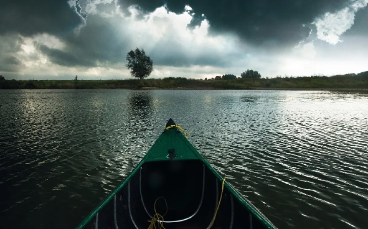 Rýnské putování (Living River), 2016 - fotogaléria
