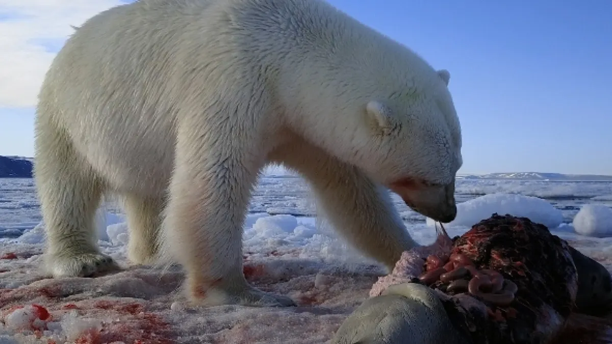 Vražedné čelisti (World’s Deadliest Bite), 2021 - fotogaléria