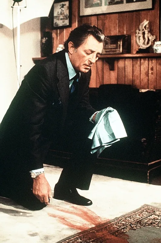 Hluboký spánek (Big Sleep, The), 1978 - fotogaléria