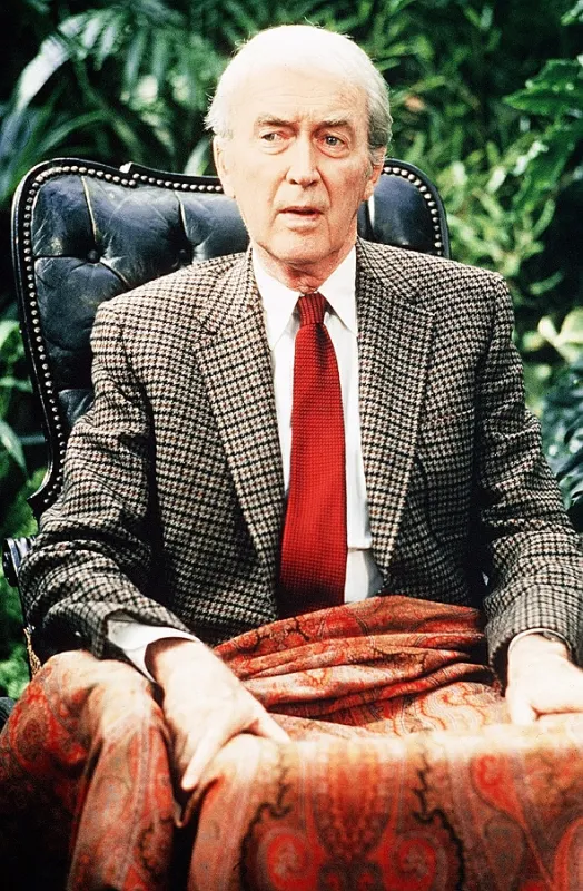 Hluboký spánek (Big Sleep, The), 1978 - fotogaléria