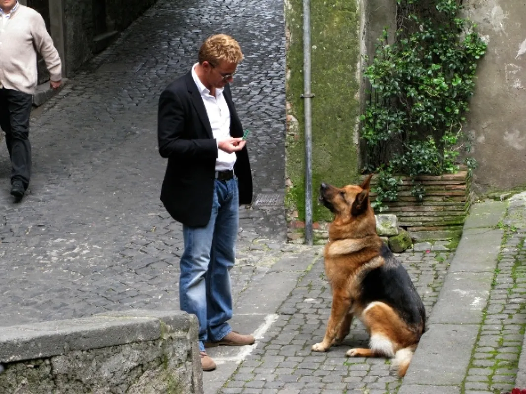 Návrat komisaře Rexe, 2009 - fotogaléria