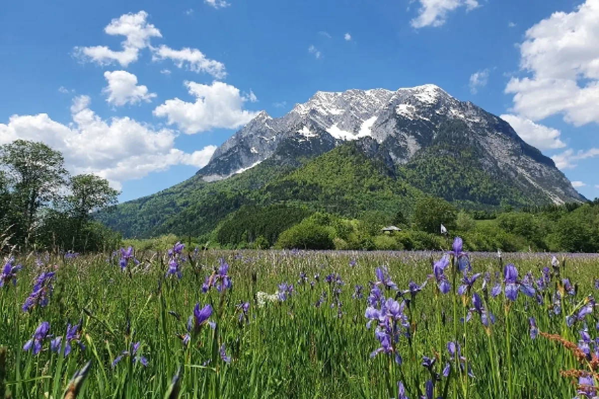 Tajemný svět luk (Geheimnisvolle Wiesenwelt), 2022 - fotogaléria