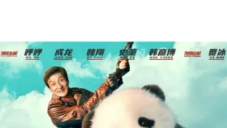 Operace Panda