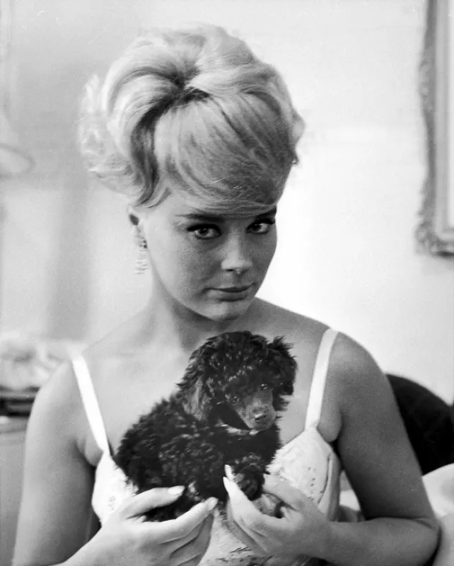 Cena (Prize, The), 1964 - fotogaléria