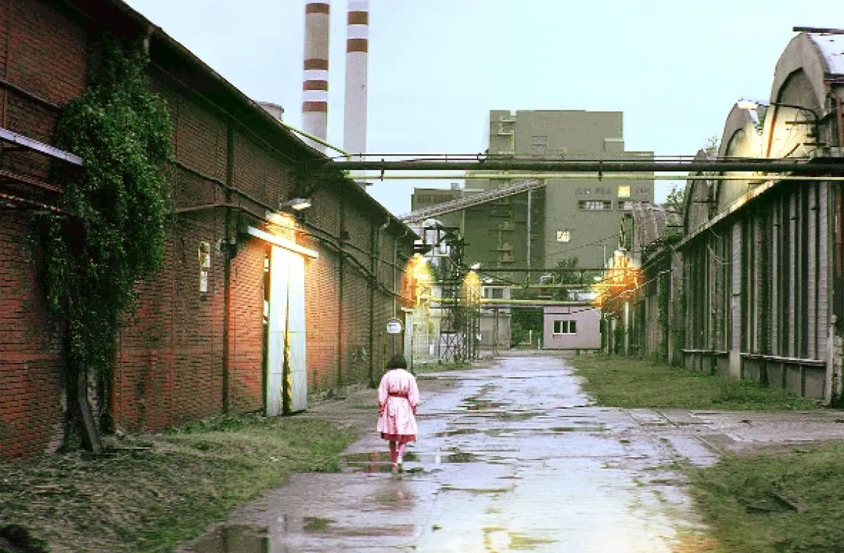 Okupácia, 2021 - fotogaléria