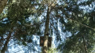 Národní park New Forest