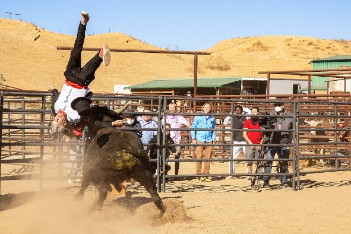 Jackass Forever, 2022 - fotogaléria