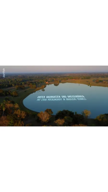 Lýdia a obry: Divoký Pantanal (Lydia and the Giants – Into the Wild Pantanal), 2022 - fotogaléria