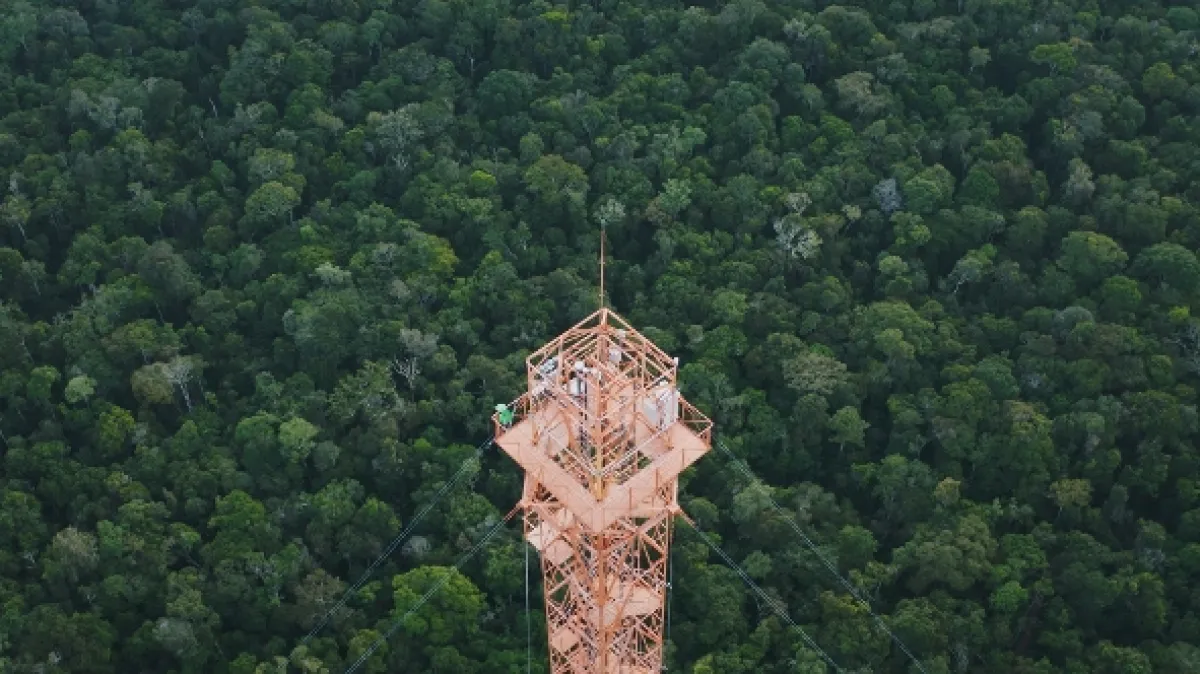 Rieky nad korunami stromov (Le mystére des riviéres volantes d’Amazonie), 2019 - fotogaléria