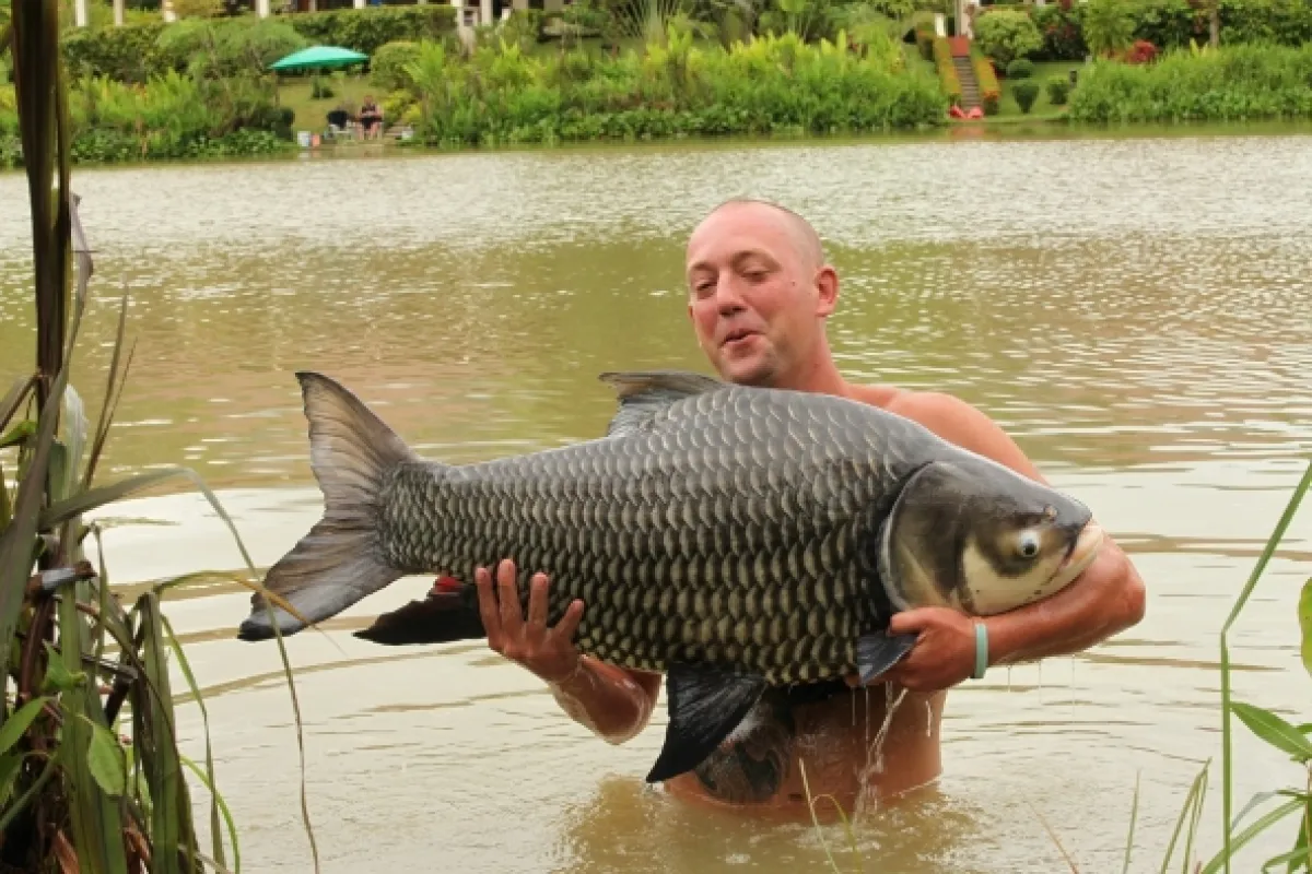 Vodní obři (Monster Fish), 2009 - fotogaléria