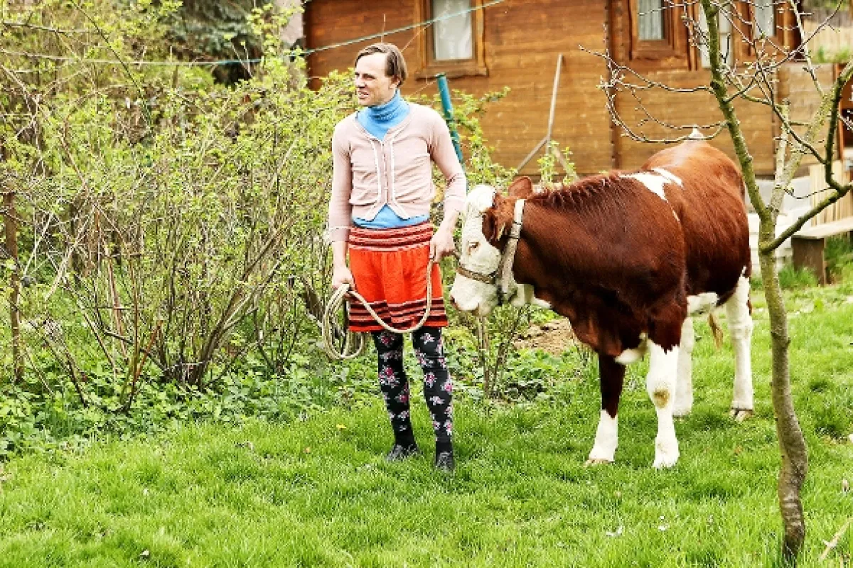 Přístav, 2015 - fotogaléria