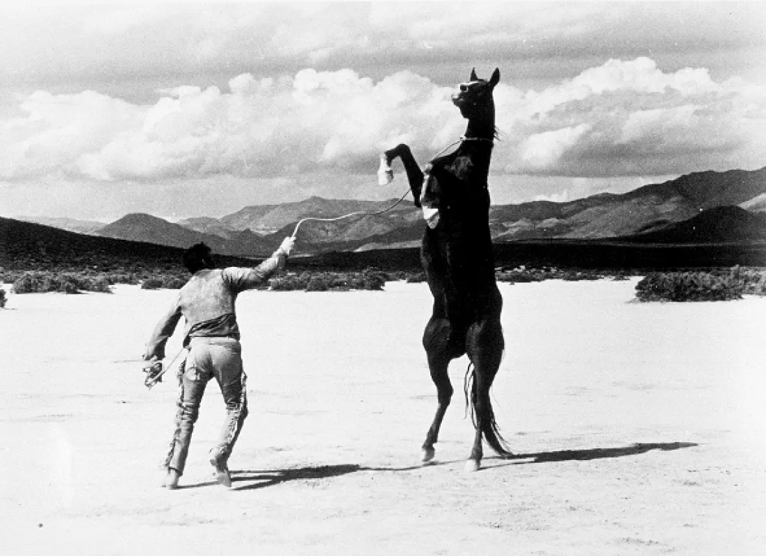 Mustangové (Misfits, The), 1961 - fotogaléria