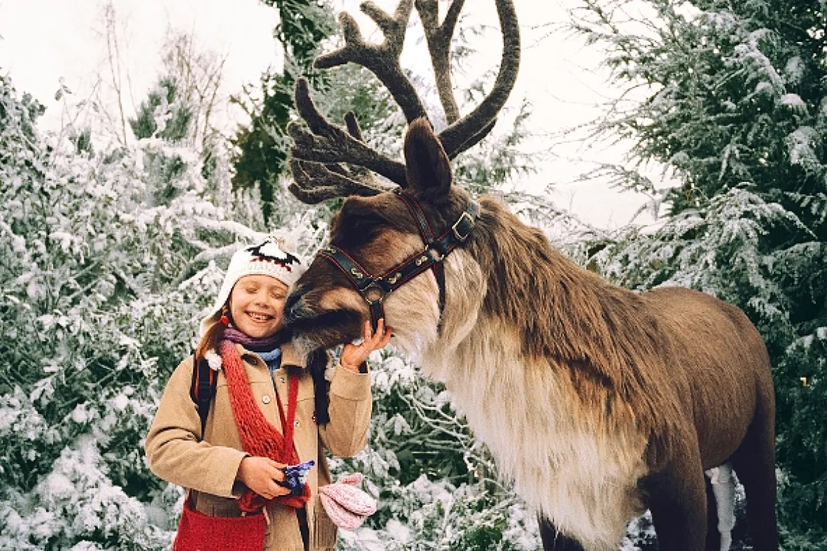 Santa Claus 2 (The Santa Clause 2), 2002 - fotogaléria
