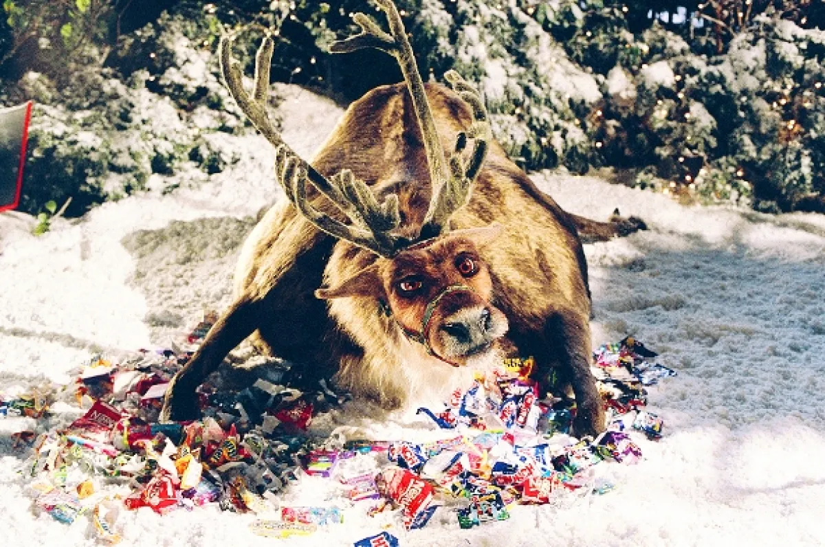 Santa Claus 2 (The Santa Clause 2), 2002 - fotogaléria