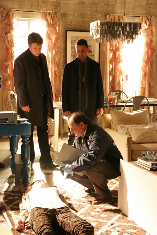 Vtierka Castle (Castle V - Scared to Death, The Wild Rover), 2012 - fotogaléria
