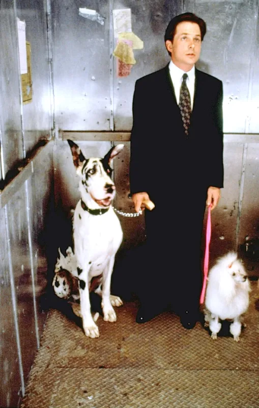 Z lásky alebo pre peniaze (For Love or Money), 1993 - fotogaléria