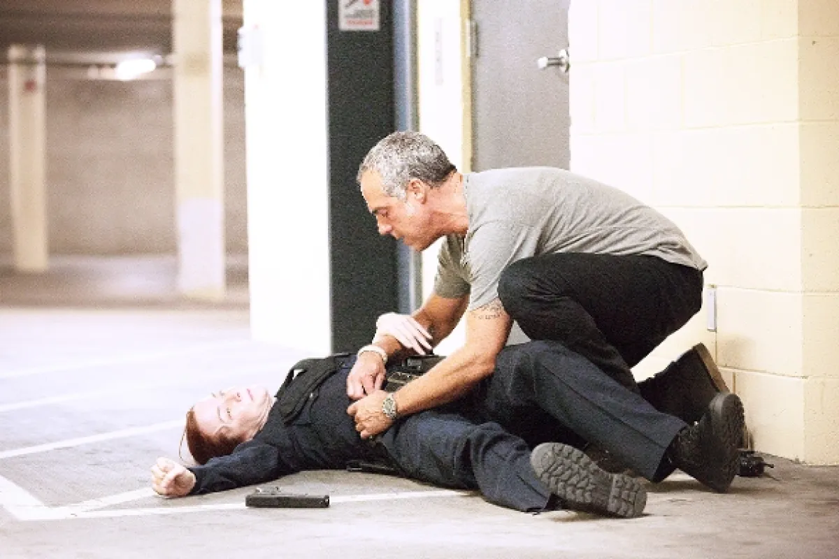 Bosch (BOSCH), 2014 - fotogaléria