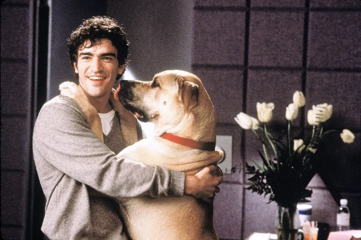 Proč kočka není pes? (The Truth About Cats & Dogs), 1996 - fotogaléria
