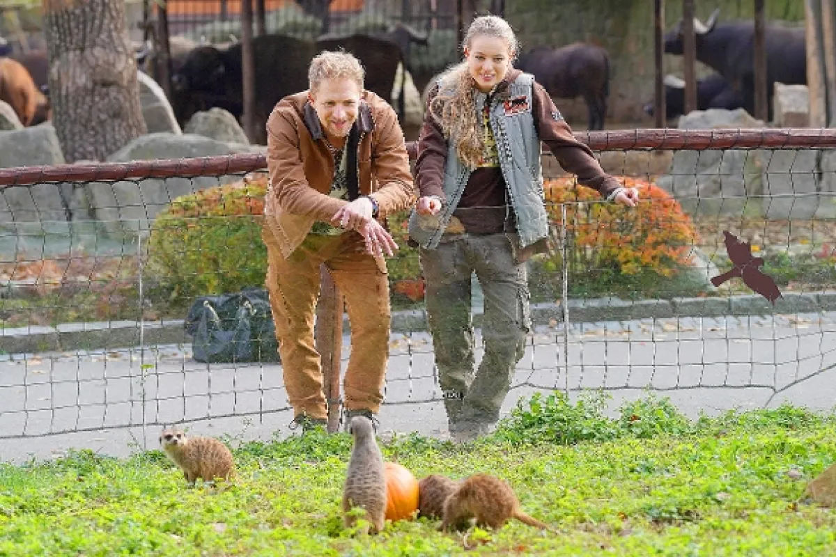 Zoo, 2023 - fotogaléria