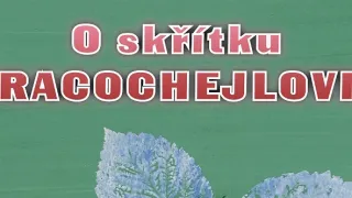 O skřítku Racochejlovi