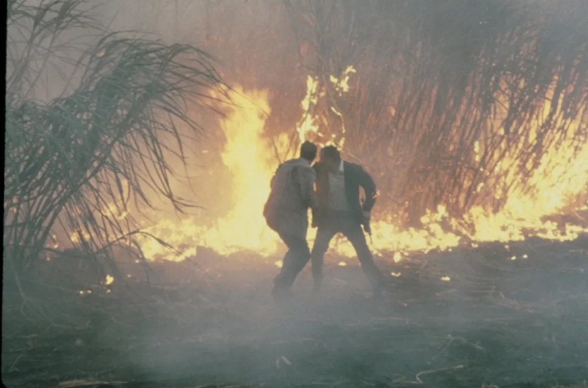 Stick, 1985 - fotogaléria