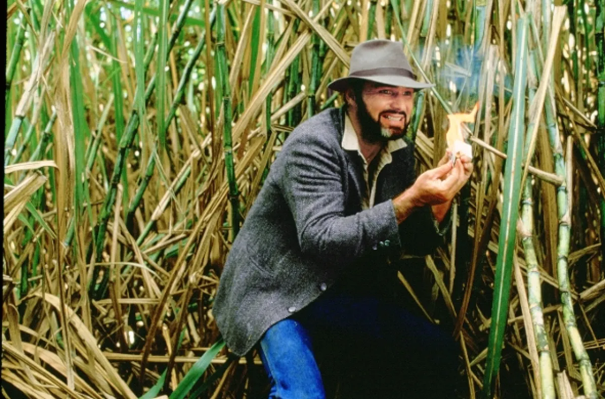 Stick, 1985 - fotogaléria