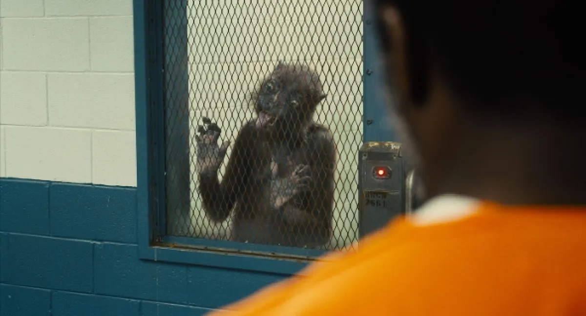Sebevražedný oddíl 2 (The Suicide Squad 2), 2021 - fotogaléria