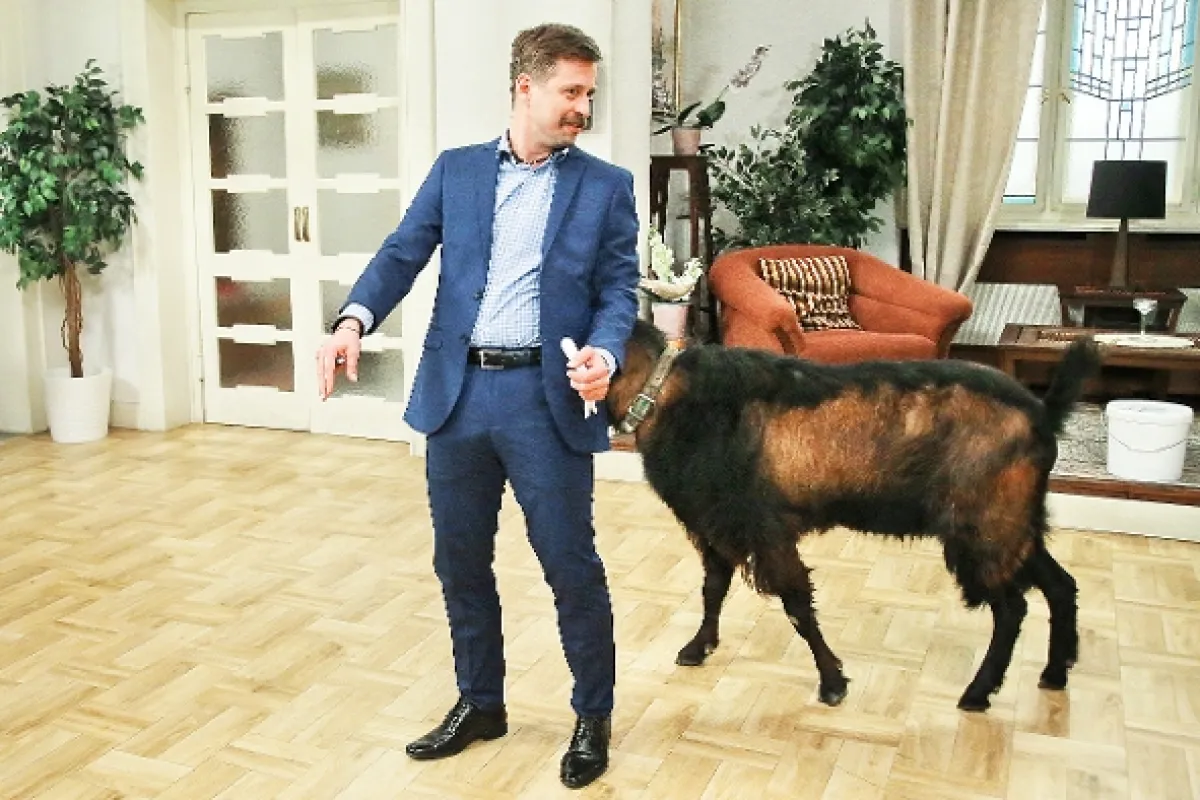 Krejzovi, 2018 - fotogaléria