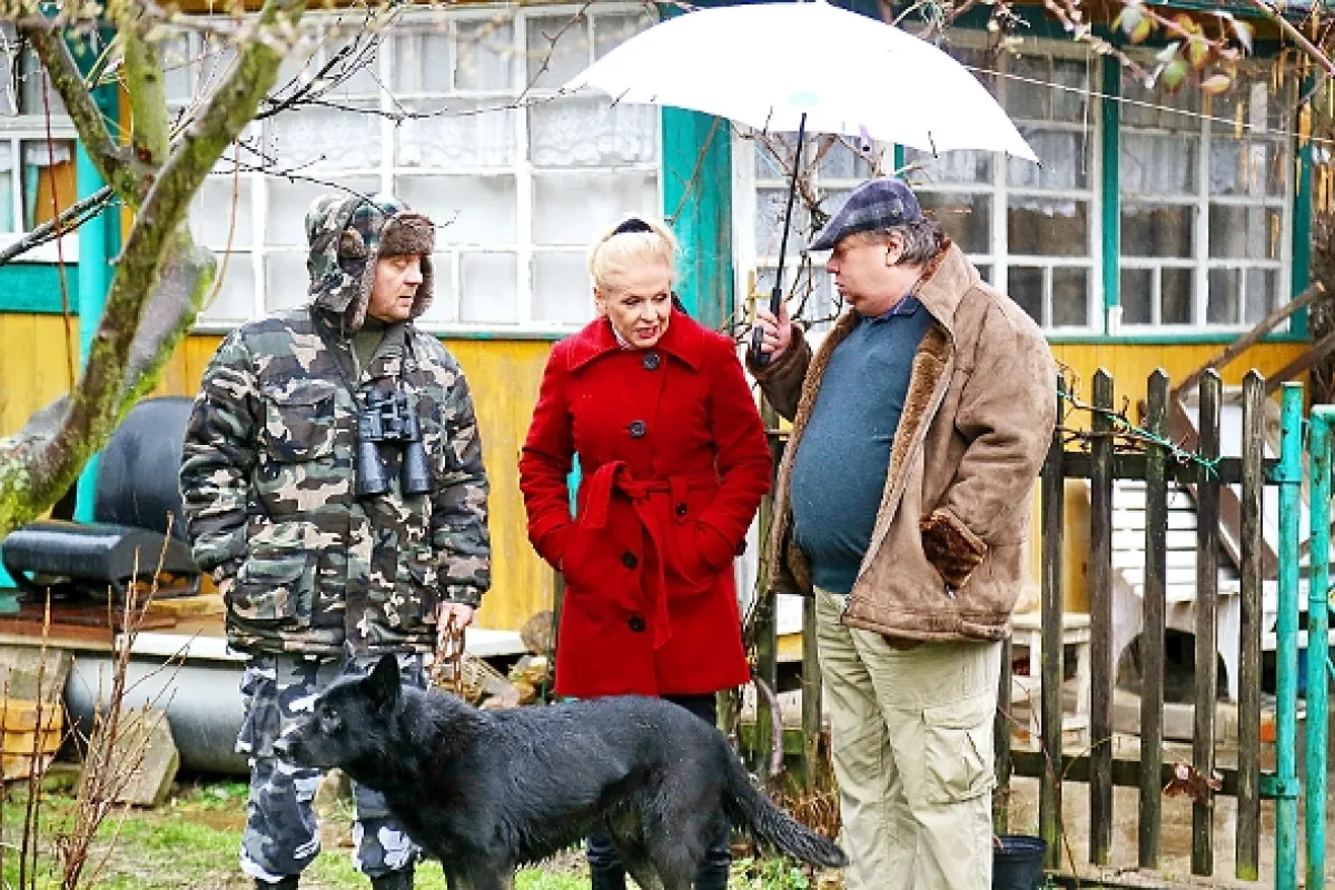 Přístav, 2015 - fotogaléria
