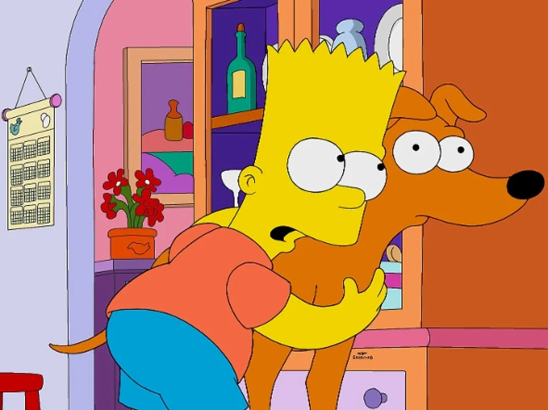 Simpsonovci, 2016 - fotogaléria