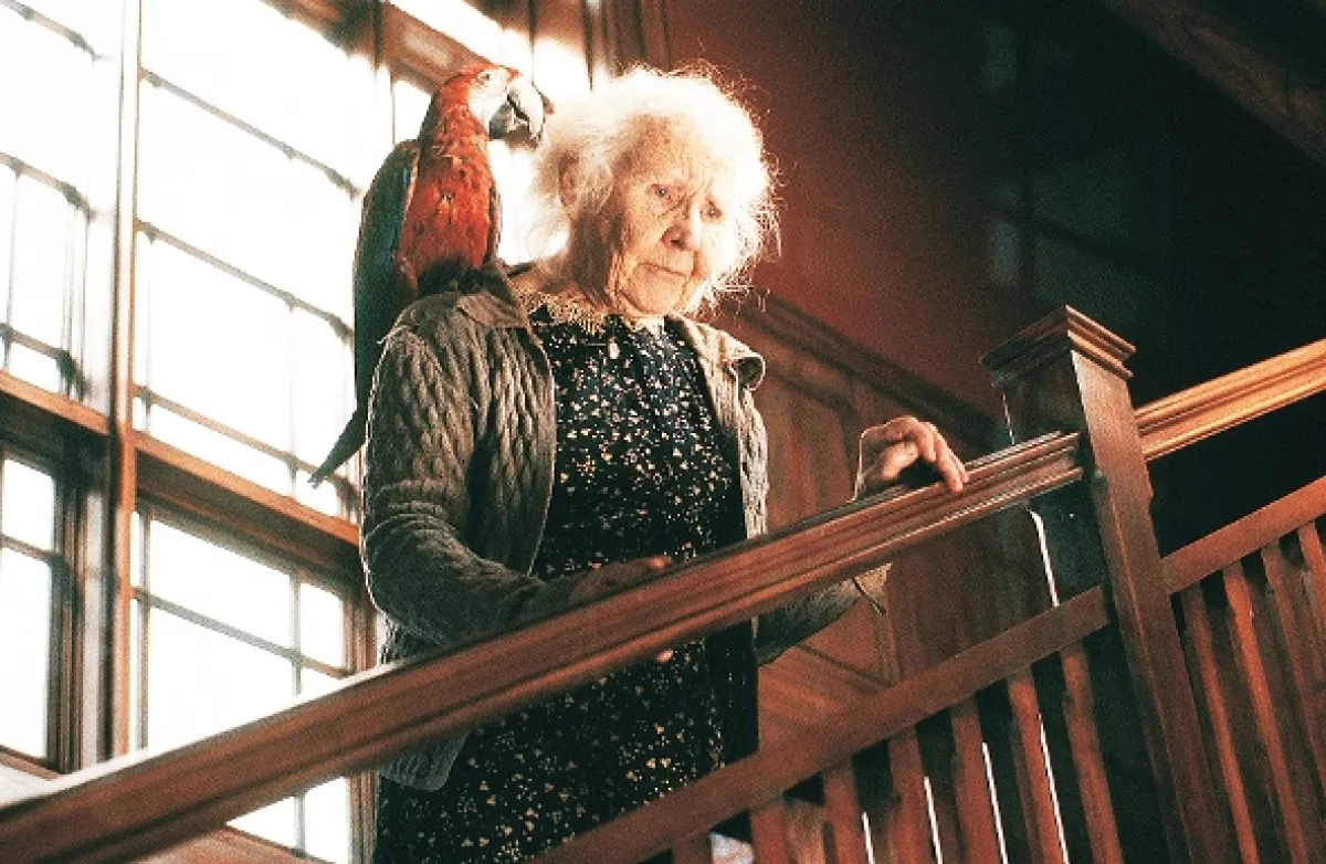 Tú starú treba zabiť! (Duplex), 2003 - fotogaléria