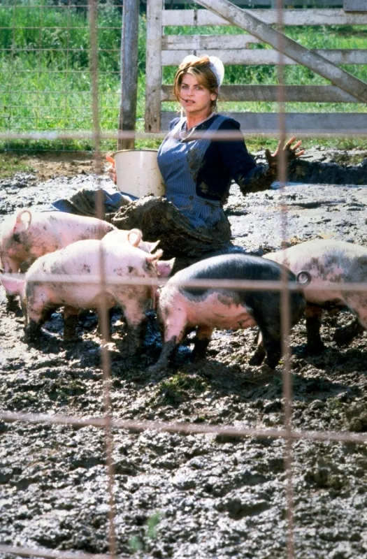 Vidláci (For Richer or Poorer), 1997 - fotogaléria