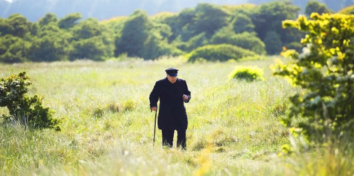 Churchill, 2017 - fotogaléria