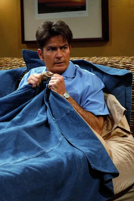 Dva a půl chlapa (Two and a Half Men VII), 2009 - fotogaléria