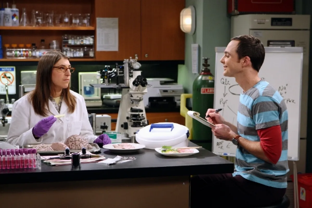 Teorie velkého třesku (Big Bang Theory, The IV), 2010 - fotogaléria