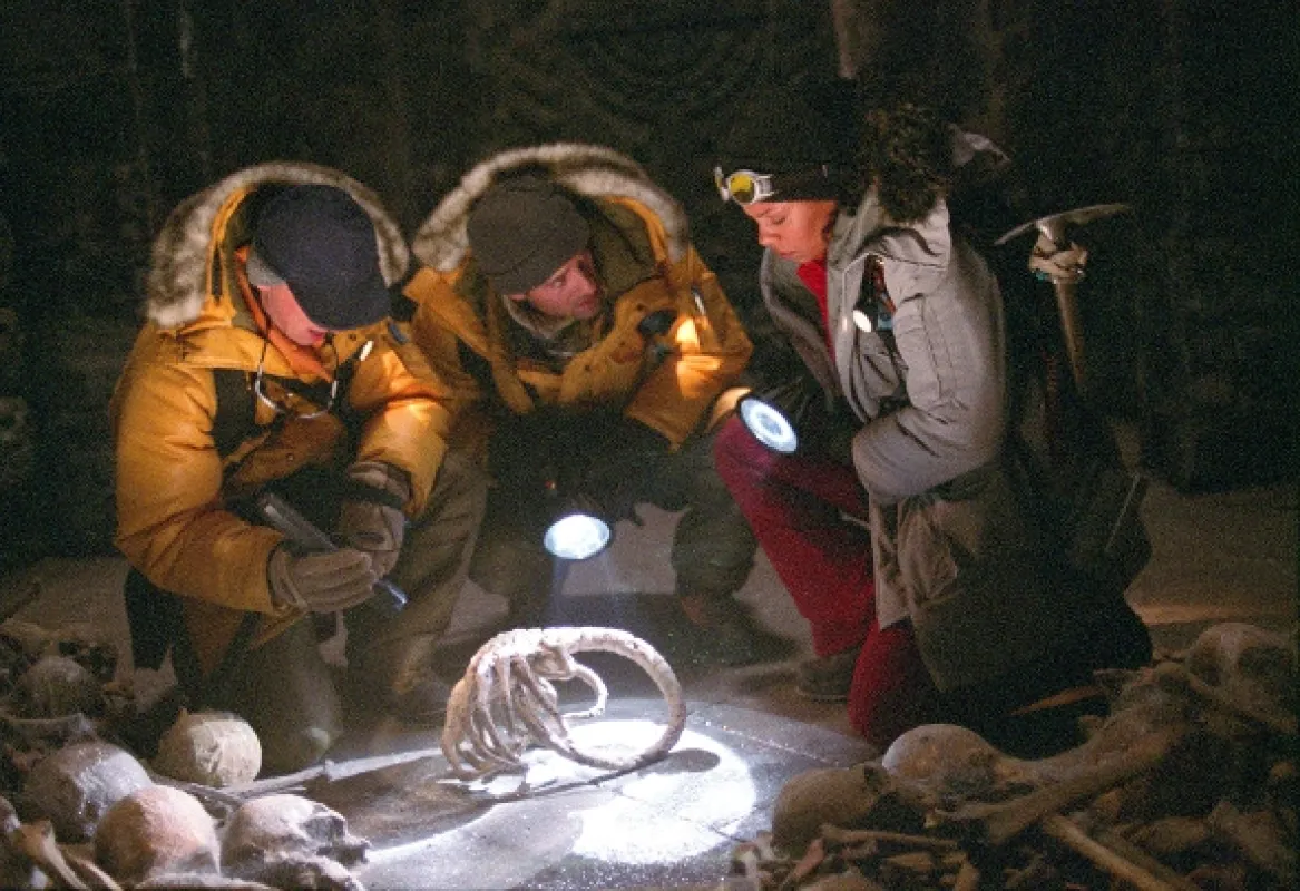 Votrelec vs. Predátor (Alien vs. Predator), 2004 - fotogaléria