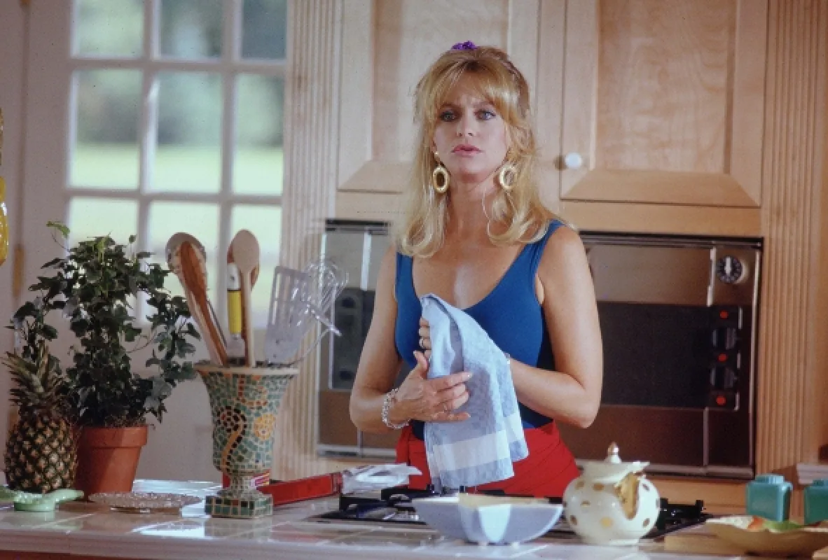 Prepáč, si ženatý! (HouseSitter), 1992 - fotogaléria