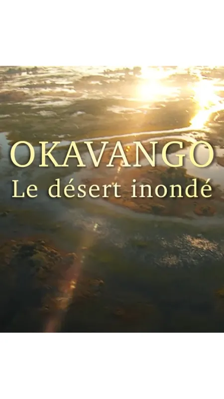 Zaplavená poušť (The Flooded Desert), 2022 - fotogaléria