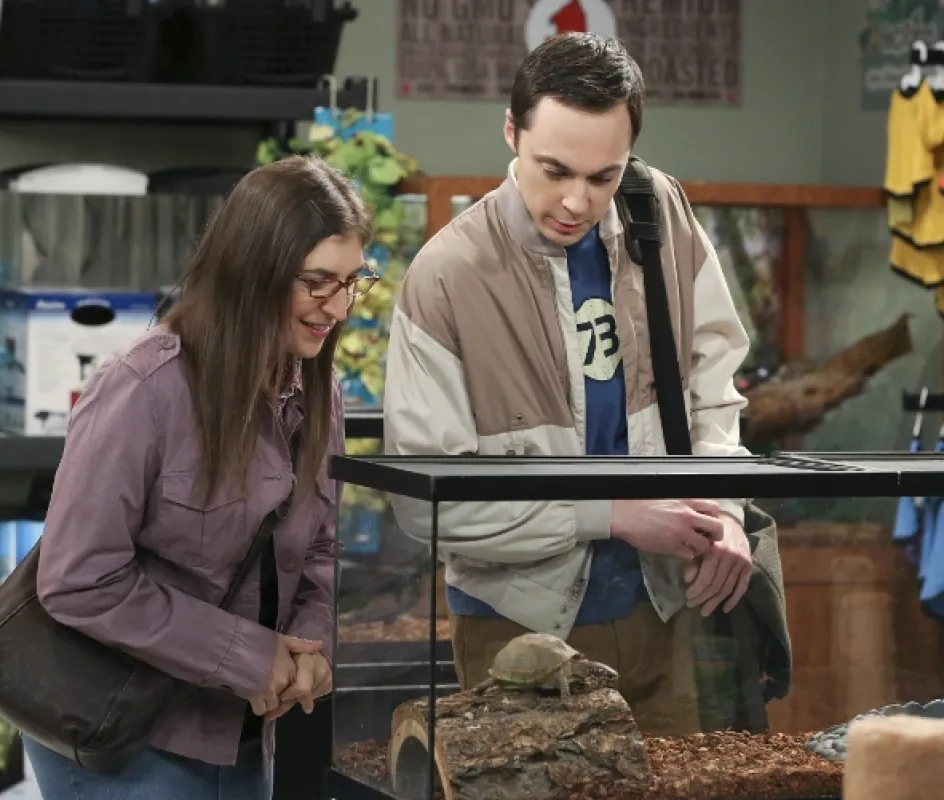 Teorie velkého třesku (Big Bang Theory, The VIII), 2014 - fotogaléria