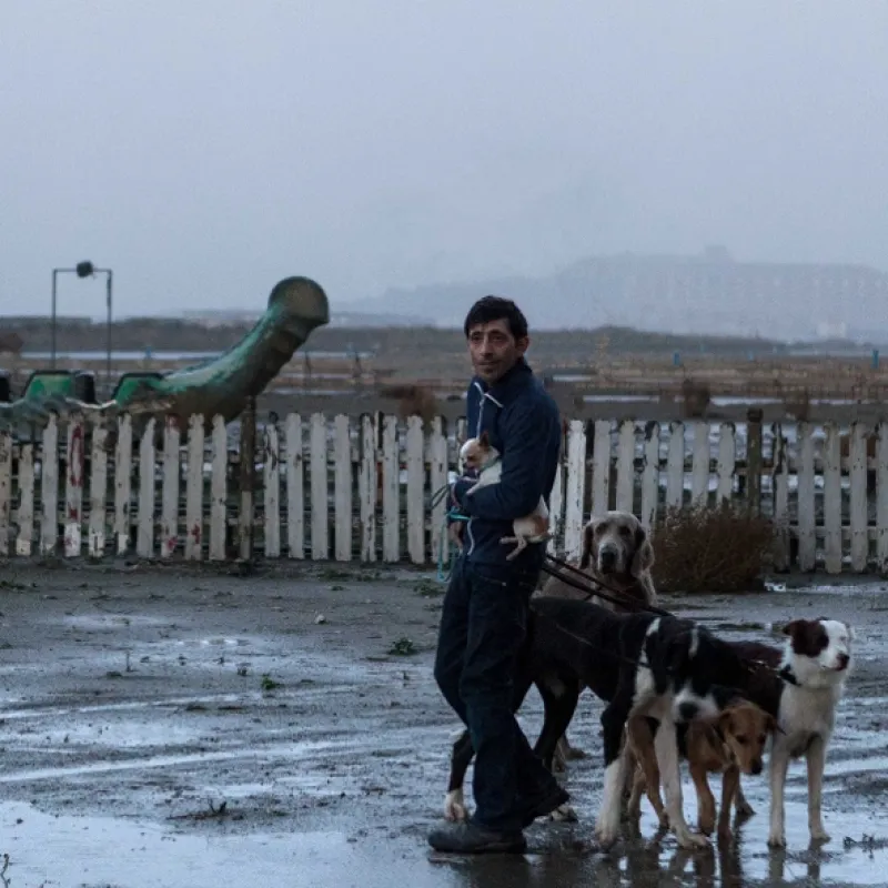 Dogman, 2018 - fotogaléria