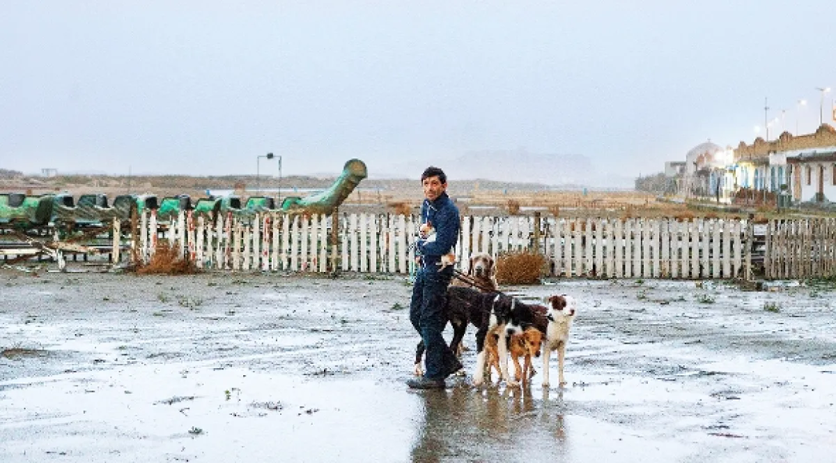 Dogman, 2018 - fotogaléria