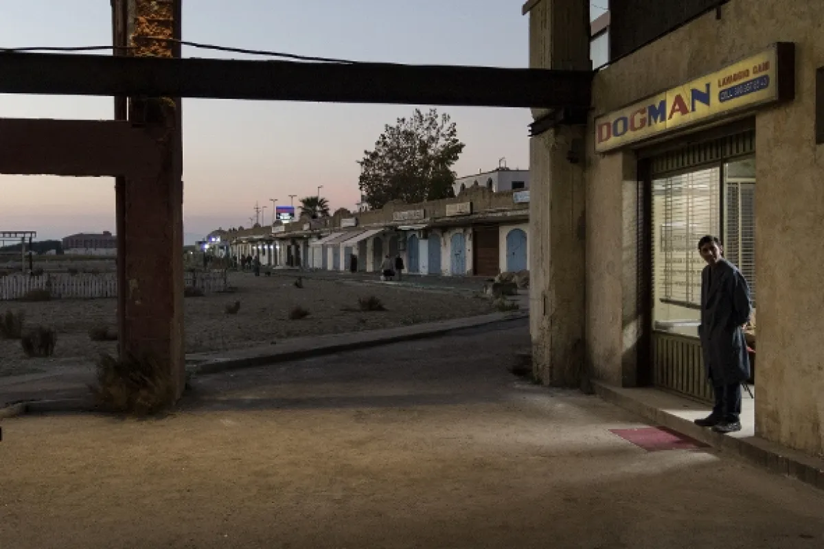 Dogman, 2018 - fotogaléria