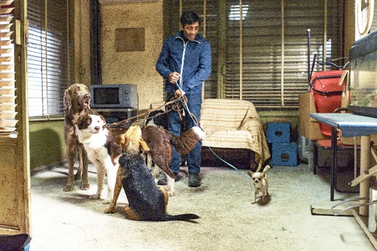 Dogman, 2018 - fotogaléria