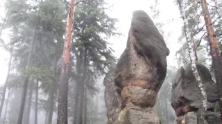 Divočina bez hranic