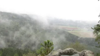 Divočina bez hranic