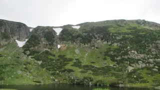 Divočina bez hranic