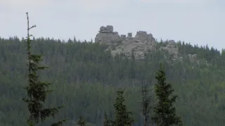 Divočina bez hranic