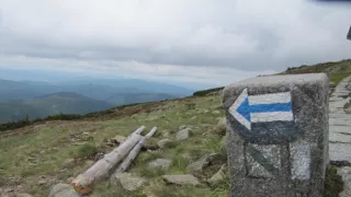 Divočina bez hranic