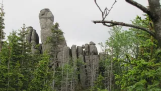 Divočina bez hranic
