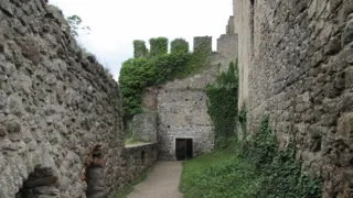 Divočina bez hranic